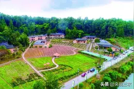 霸气！自家院里开游乐园，农民“坐家”奔小康图片