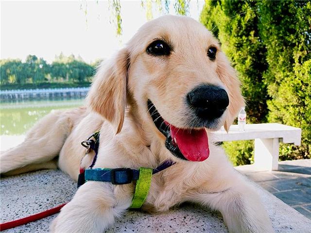 ҥëġůС𣿲ֻǶѺ