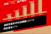 拼多多发布Q2财报：季度营收121.93亿元，百亿补贴持续加码促进内需图片