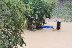 河南暴雨支付宝、微信钱包失效了！支付要转向另一个赛道？图片