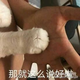 不同肤质，该如何选择适合的氨基酸洗面奶呢？