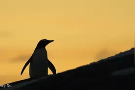 你见过凌晨2点半的南极半岛吗？图片