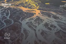 焦点访谈｜国家公园：有生命的国家宝藏图片