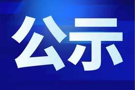 关于对拟任干部进行公示的公告图片