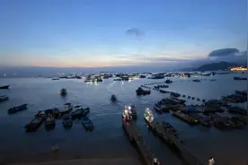 暗访休渔期捕捞鱼苗，深圳大鹏执法部门回应“通风报信”疑云图片