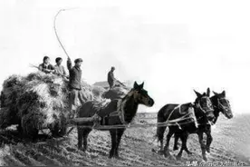 “拉帮套”和“狃花女”同是一女侍二夫，哪个更不被世所俗认可图片