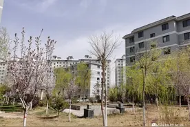 白银区：移民安置小区里的“幸福街”图片