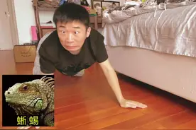 杨迪为了让谢娜开心，实力模仿蜥蜴、王迅、柯镇恶、蔡徐坤、张杰图片