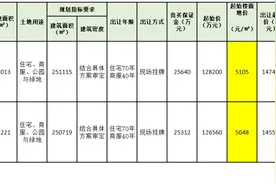 强悍！地价5800，东西湖134、135号地块引入2家世界500强区域总部图片