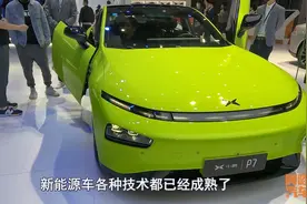 现在买燃油车还是新能源车？先听听过来人的建议，以免买错后悔图片