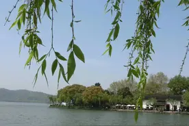 “一半西湖一半笆，筑笆都是官宦家”--记西湖葛岭静逸别墅图片