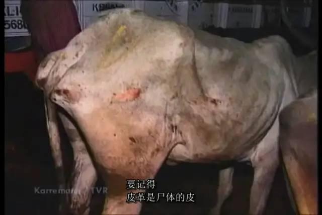 疯了，为了推荐这部电影，他绑架了13个人