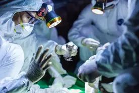 77名诺奖得主联名抗议！科学遭到霸凌，谁遭殃？图片