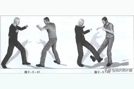 实战桑搏：腿法技术要点与搏击运用2，教你踢出极具摧毁性的重击图片