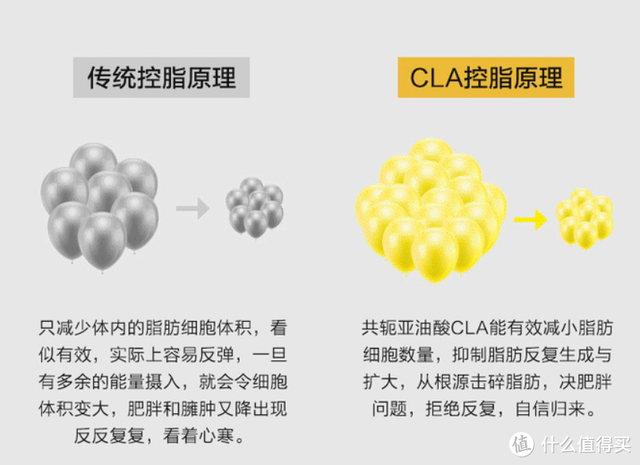 涔变拱涓嶄拱閿欙細鍋ヨ韩闇€涓嶉渶瑕佽ˉ鍓傦紵锝滄垜鏉ユ暀浣犳€庝箞涔拌ˉ鍓? onerror=