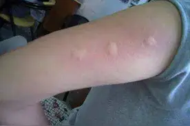 小米爆款驱蚊器测评：体积小到不敢信，400小时强续航，网友：值图片