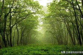 常见的呼吸方法图片