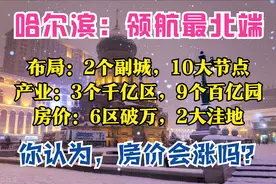 哈尔滨2035：人口1180万，3大辐射圈，1主2副10节点，6区房价过万图片