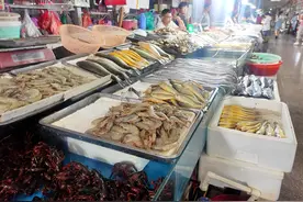 “海鲜自由”要来了！梭子蟹、皮皮虾价格都降了，零售价同比降三成图片