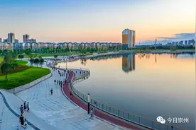 喜讯！上半年，崇州位列成都市第一图片