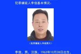 安康高新警方公开征集李俊违法犯罪线索图片