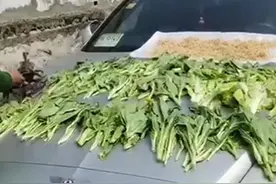 中年妇女在400万宾利上晒青菜，车主反而很高兴，只要她高兴就好图片