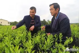 简阳这些地方暂无拆迁信息或在规划中，涉及面广，速看有没有你家图片