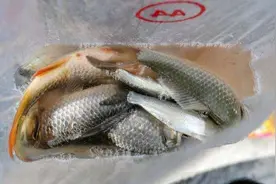 钓点有鱼却没漂相？虽然只有简短3招，可却是连竿上鱼的绝招图片