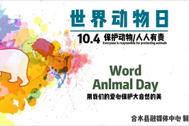 10·4 世界动物日图片