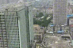 搞笑GIF段子：这两只狗狗打架的画面可以说非常可爱了，哈哈…图片