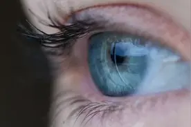 英读廊——别盯着我！为什么大多数动物不喜欢被盯着看？图片
