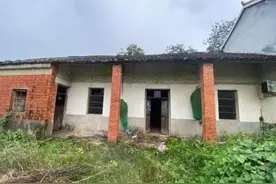 《扫黑风暴》或涉侵权，摄影师：“已委托律师维权”图片