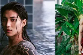 缅甸男模出家被封最帅和尚！金城武+木村拓哉结合体图片