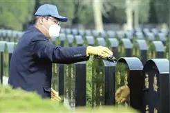 清明寄哀思 免费“代祭扫” 市属殡仪服务场所推出便民服务图片
