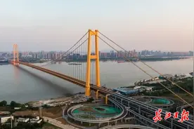 原材料全部国产，武汉杨泗港长江大桥斩获国际大奖图片