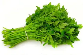 这样做草鱼窝，窝料不花钱，鱼进窝有信号，再钓不迟图片