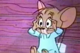 浙江专升本公办本科院校有哪些？历年录取分数线是多少？图片