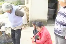 宿迁这只母鸡也成了村里的“大明星”，一天下了13个蛋！视频封面