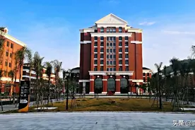 全国排名第一的眼视光医学，毕业后超吃香！收分529图片
