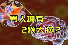 男人“好色”有了科学依据？科学家发现 男人竟拥有两颗“大脑”图片