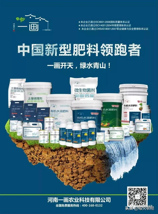 新型一画有机氮肥横空出世，效果吊打传统尿素