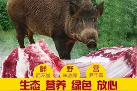 东北野味也挺野图片