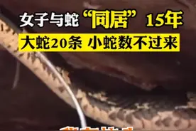 蛇“侍寝”女子15年，安徽一条大蛇住进杂食店赖着不走，啥情况？图片