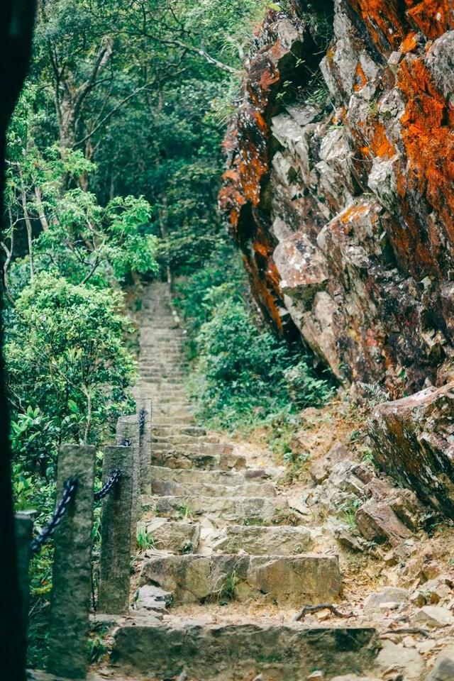 深圳值得征服的10座山，你去过几座？