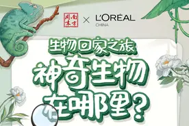 生物回家之旅——神奇生物在哪里？图片