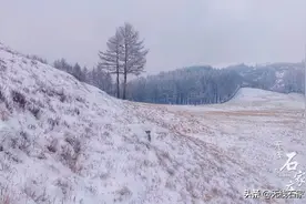 春雪初霁 唯美驼梁图片