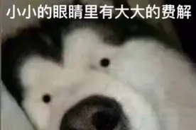 每日一笑：一分钟笑掉大牙的笑话精选图片