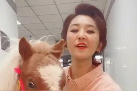 主持人方琼在演播厅遛马！小马颜值太高像假马，网友：比方琼好看图片