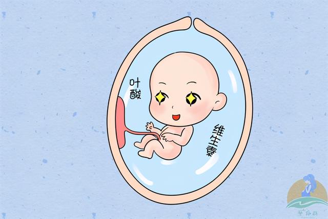 备孕叶酸怎么补、补多少？弄错剂量危害大，备孕期准爸妈看过来