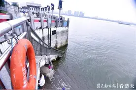 长江汉江水位上涨快，龙王庙照片前后对比明显图片